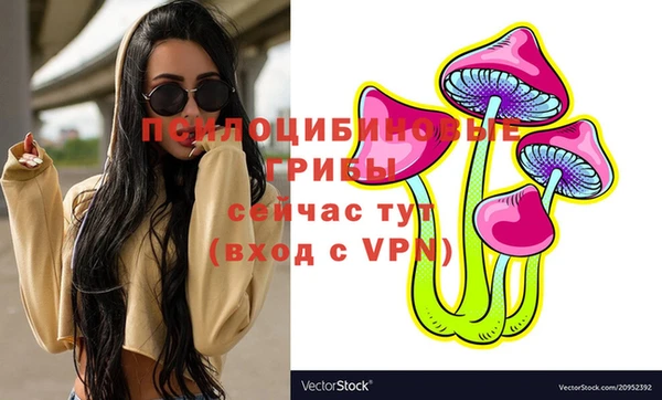 прущий лед Алзамай