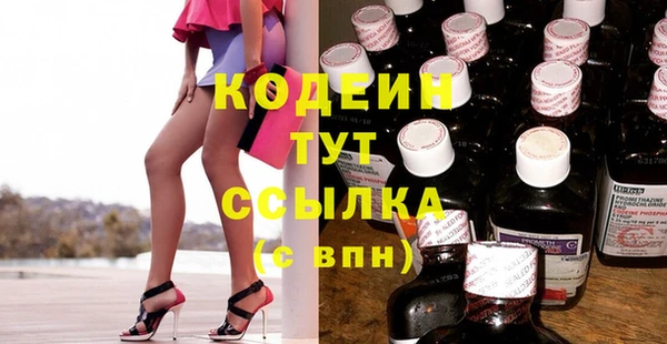 прущий лед Алзамай