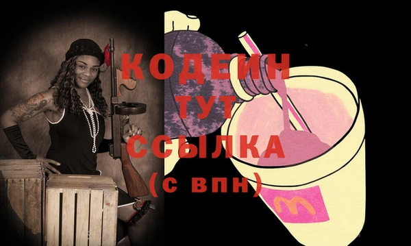 прущий лед Алзамай