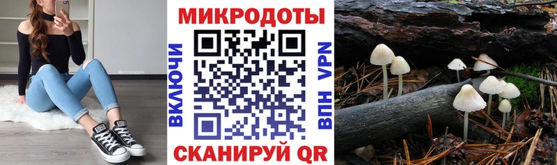 Псилоцибиновые грибы Magic Shrooms  продажа наркотиков  Алупка 